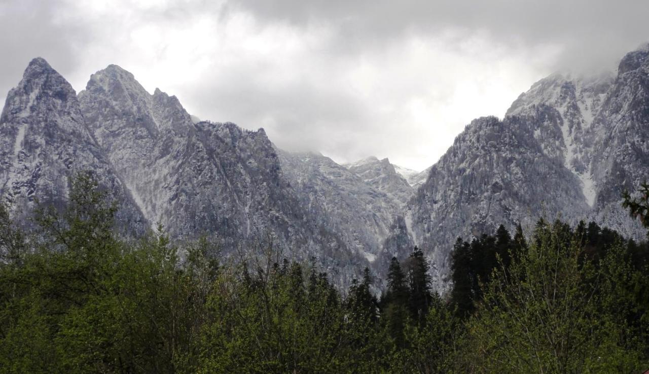 Vila Nik Buşteni Екстериор снимка