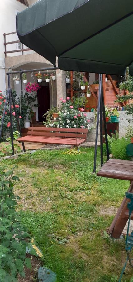 Vila Nik Buşteni Стая снимка